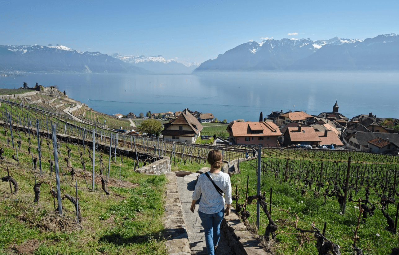 Traveling Through the Lavaux Vineyard Terraces by Train on a Budget